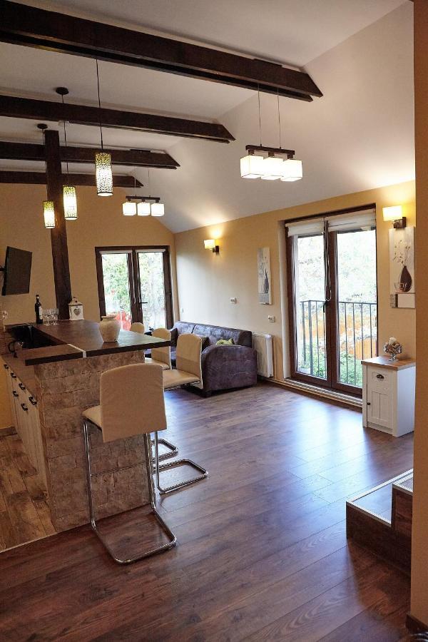 Apartament Rozelor Brassó Kültér fotó